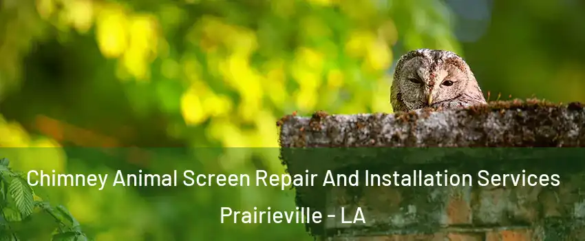  Chimney Animal Screen Repair And Installation Services Prairieville - LA