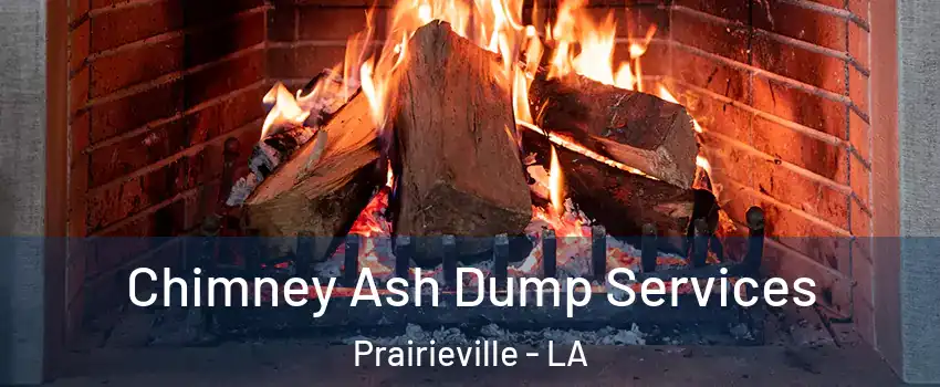 Chimney Ash Dump Services Prairieville - LA