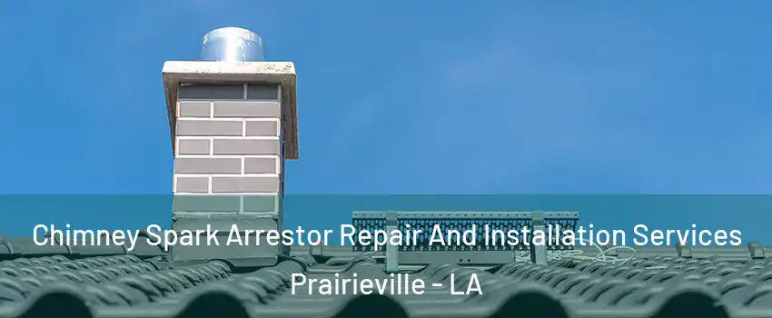  Chimney Spark Arrestor Repair And Installation Services Prairieville - LA