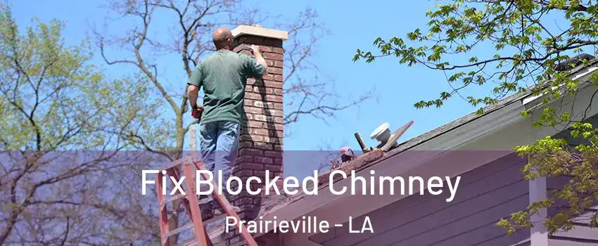  Fix Blocked Chimney Prairieville - LA