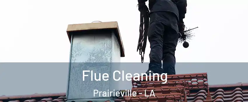  Flue Cleaning Prairieville - LA