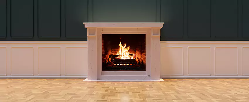 Napoleon Electric Fireplaces Inspection Service in Prairieville, Louisiana