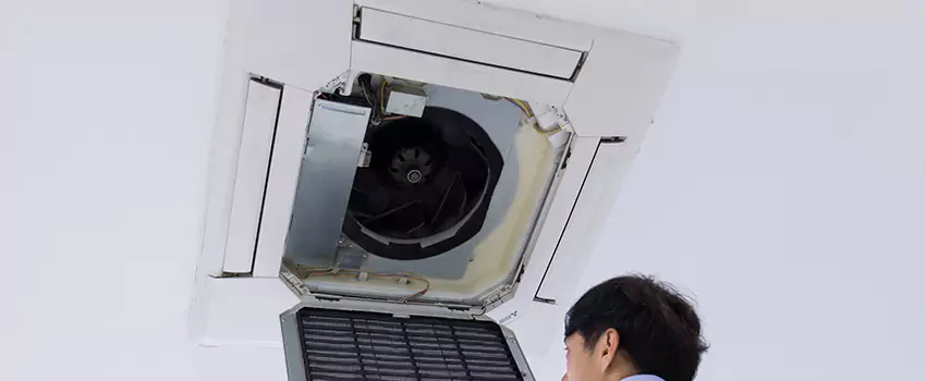 Benefits of Professional Air Duct Cleaning in Prairieville, Louisiana