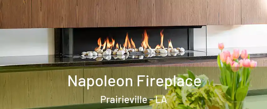  Napoleon Fireplace Prairieville - LA